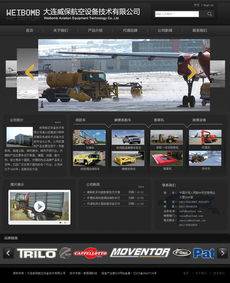 大連新圖聞科技 專業(yè)網(wǎng)站建設與制作服務